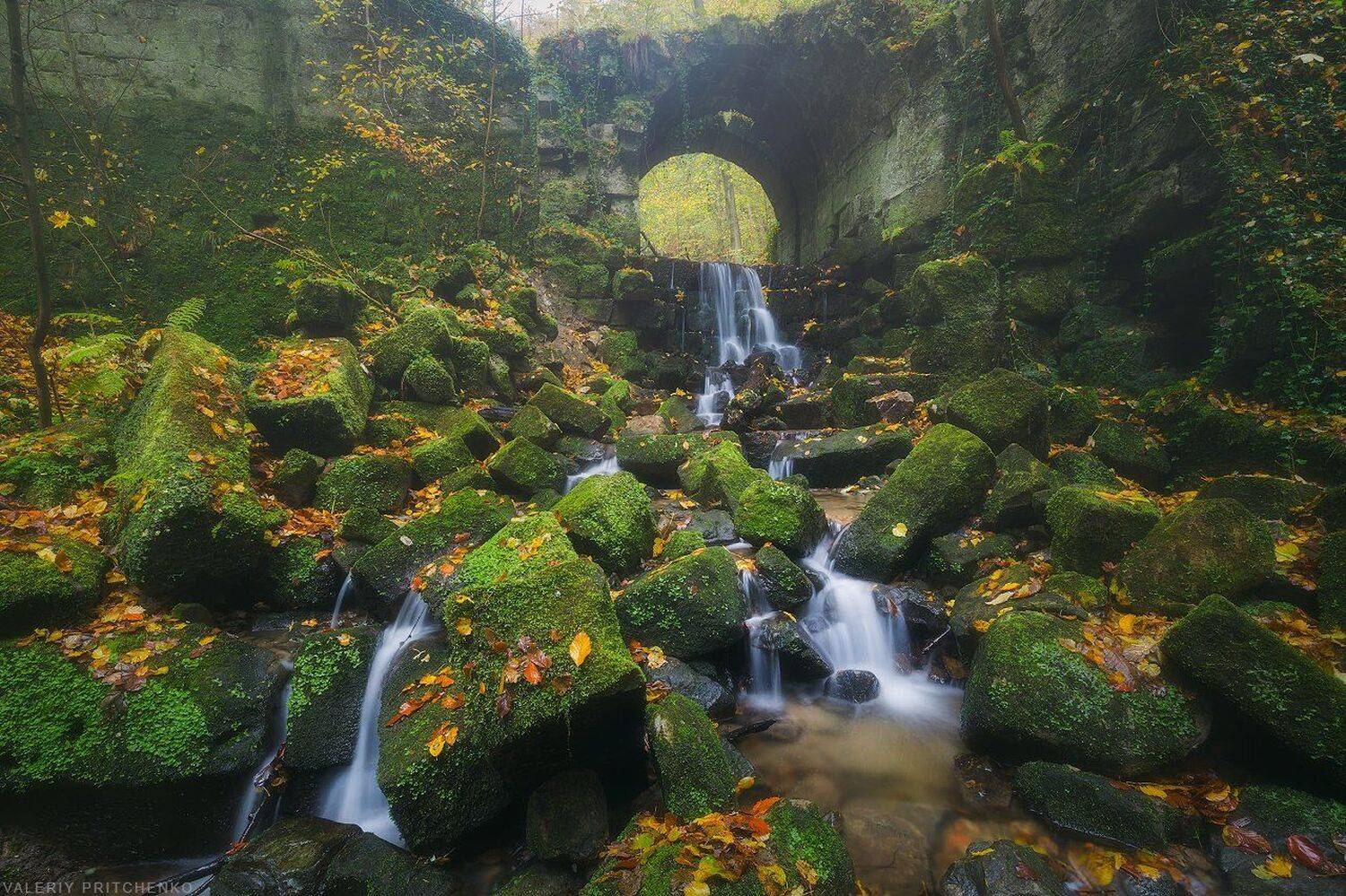 , Валерий Притченко