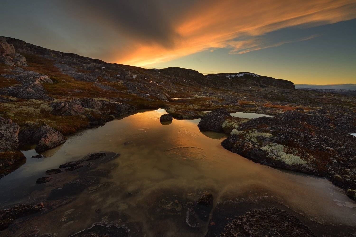 , Максим Евдокимов