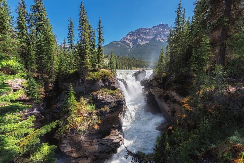 canada, jasper, national, park, sunwapta, fall, waterfall, river, athabasca, island, rock, banff, calgary, alberta, landscape Athabasca Falls фото превью