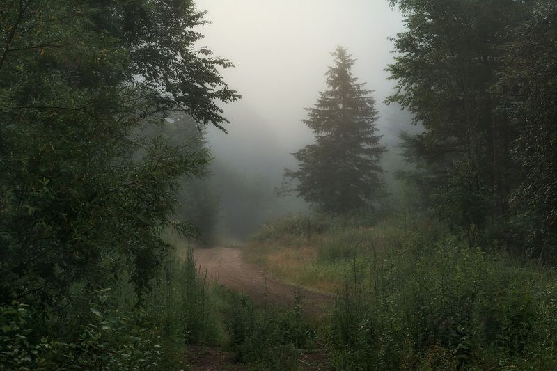 Туман фото превью