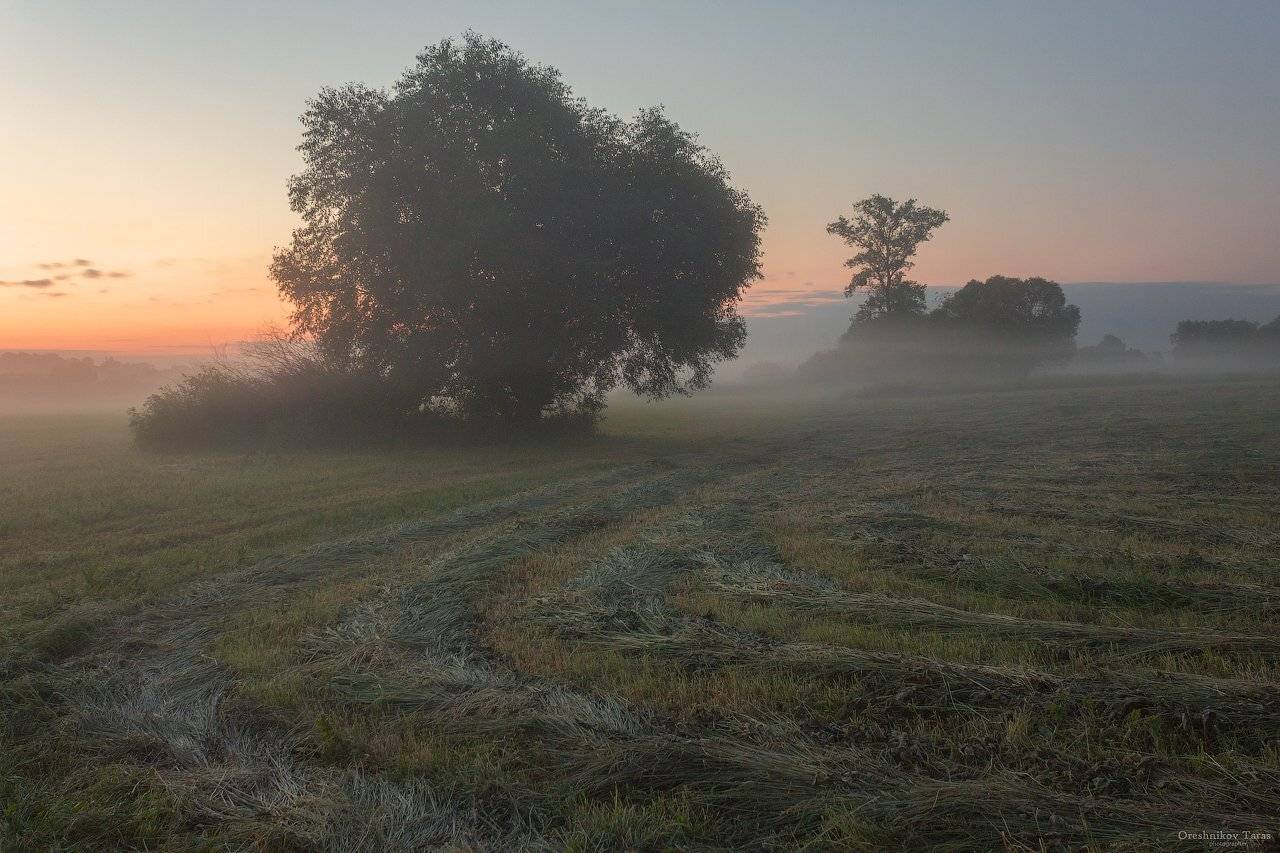 пейзаж,природа,осень,туман,рассвет,утро,, Taras