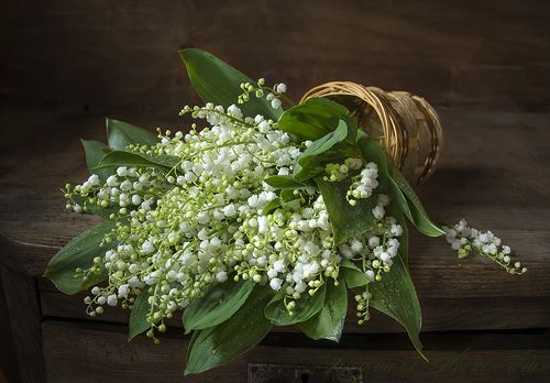 Ой!Упали!