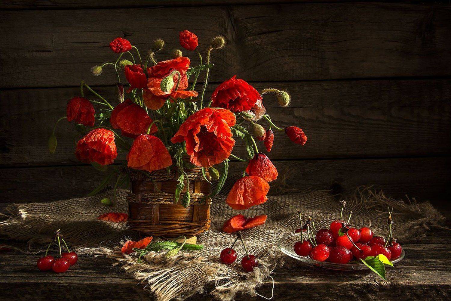 красивый натюрморт с маками,вишни,букет,цветы,искусство,художественное фото,творчество., Людмила Костюченко