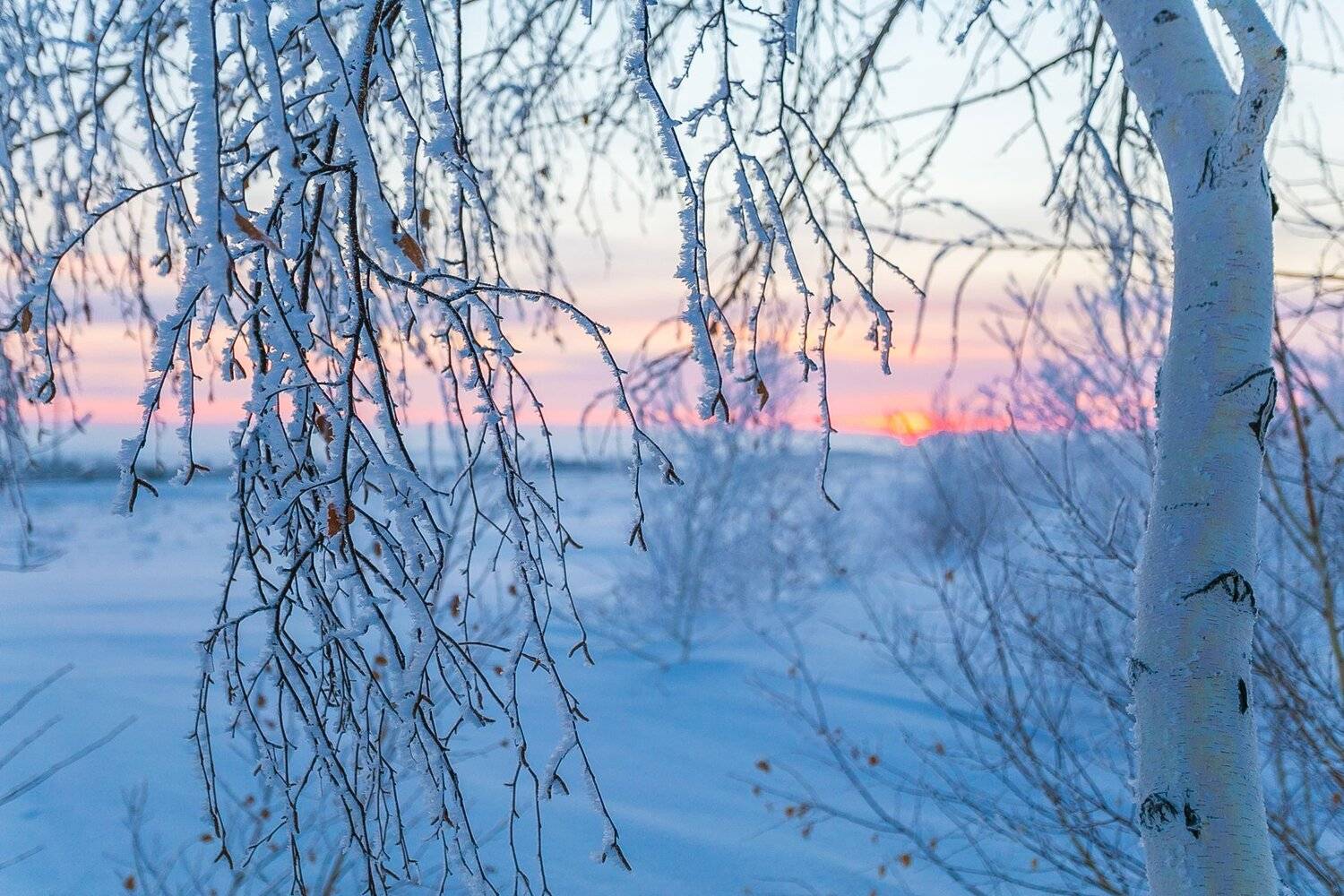 , Павел Сагайдак