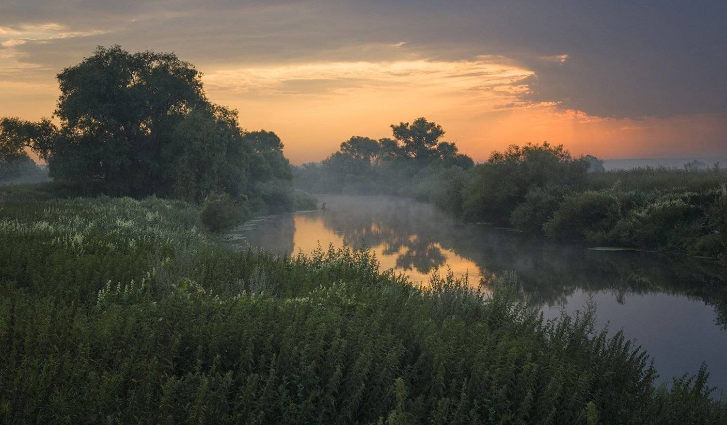 , Анатолий Зверев