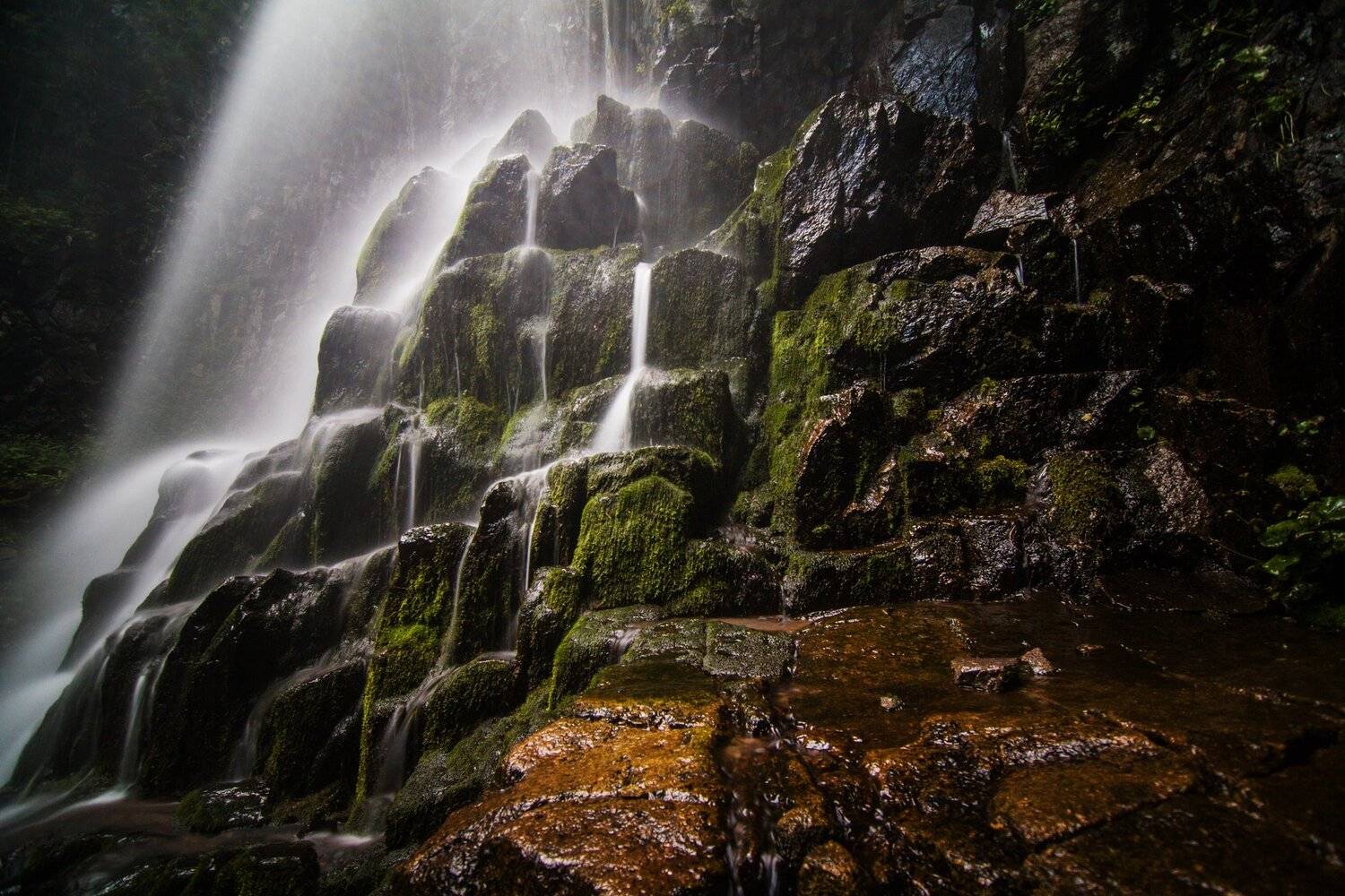 , Сигида Дмитрий