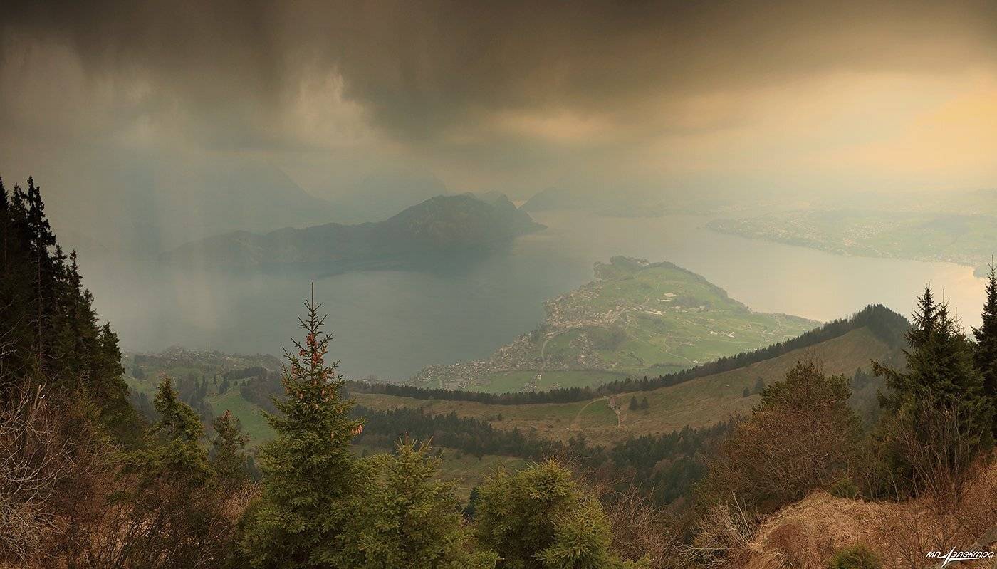 swiss, Матвеев Николай