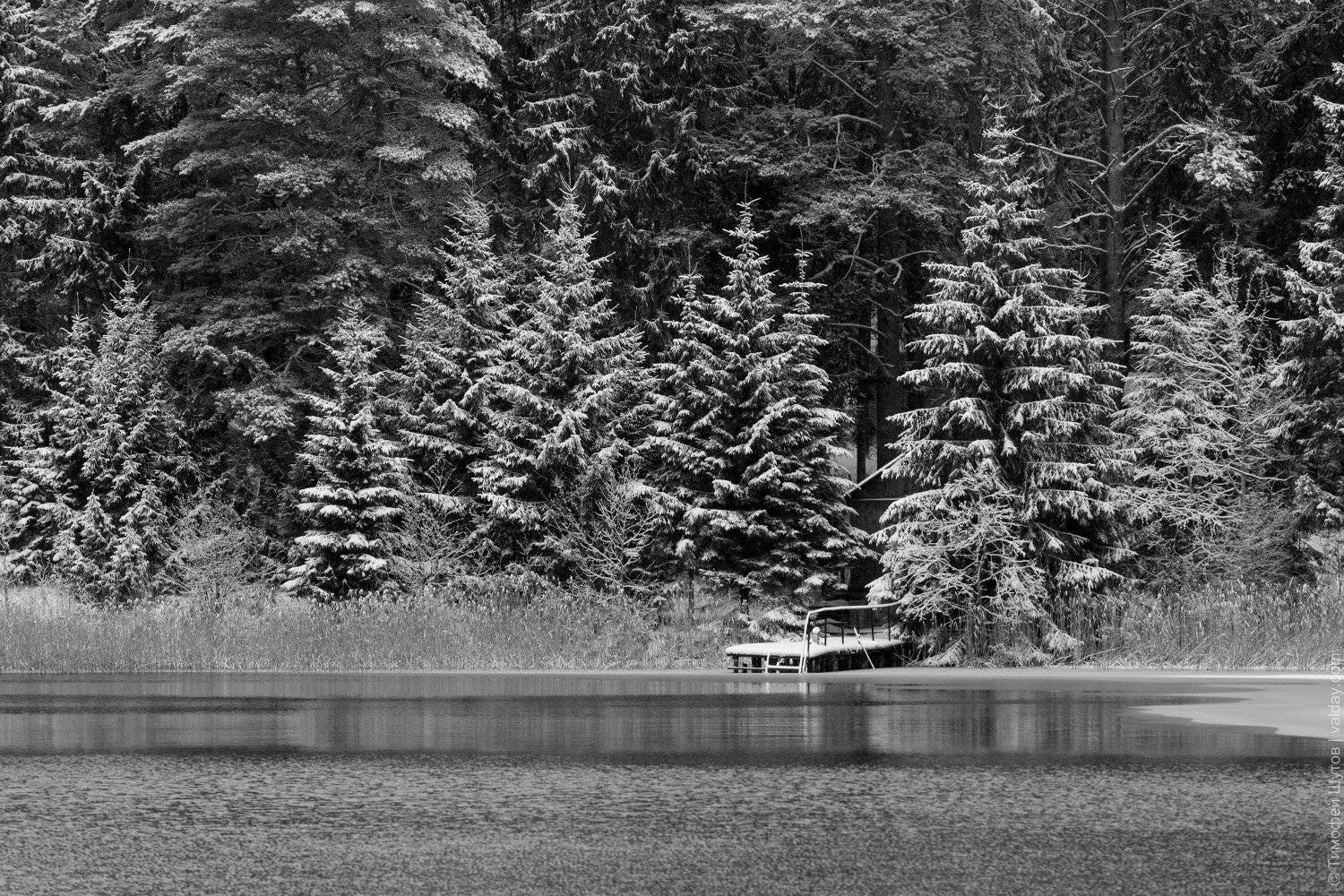 валдай, Тимофей Шутов