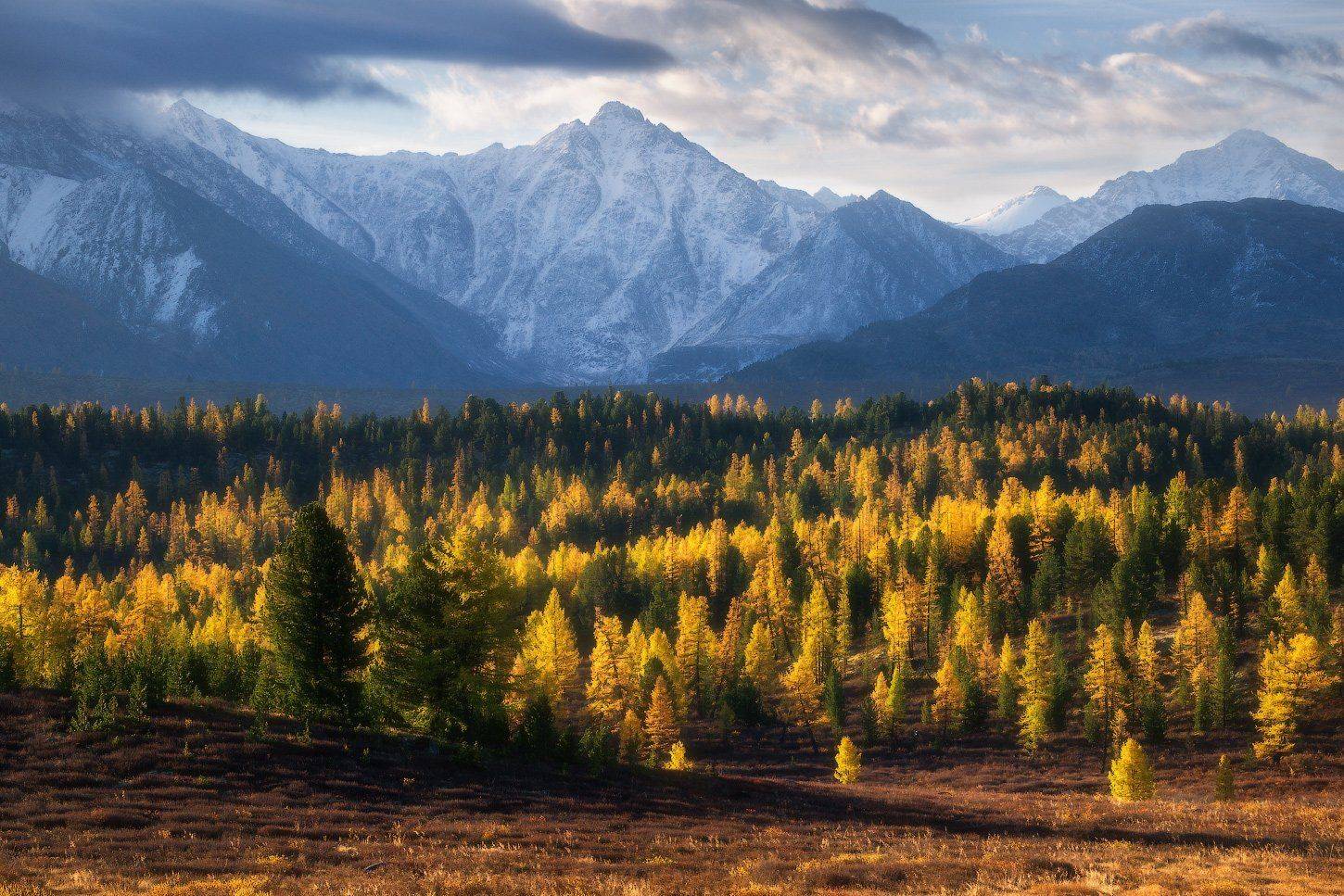алтай, горы, осень, Владимир Ляпин