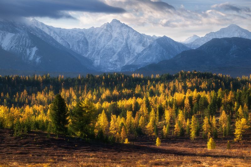 В осеннем одеянии фото превью