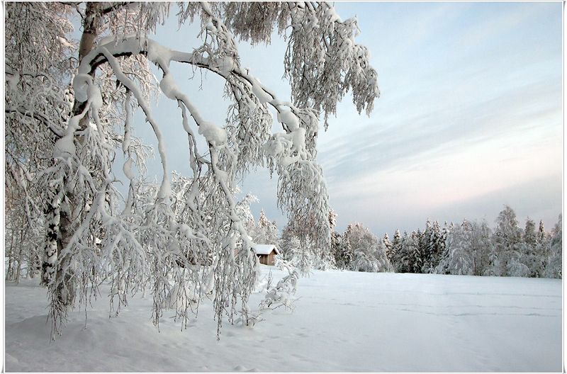 швеция Нежная снежная фото превью