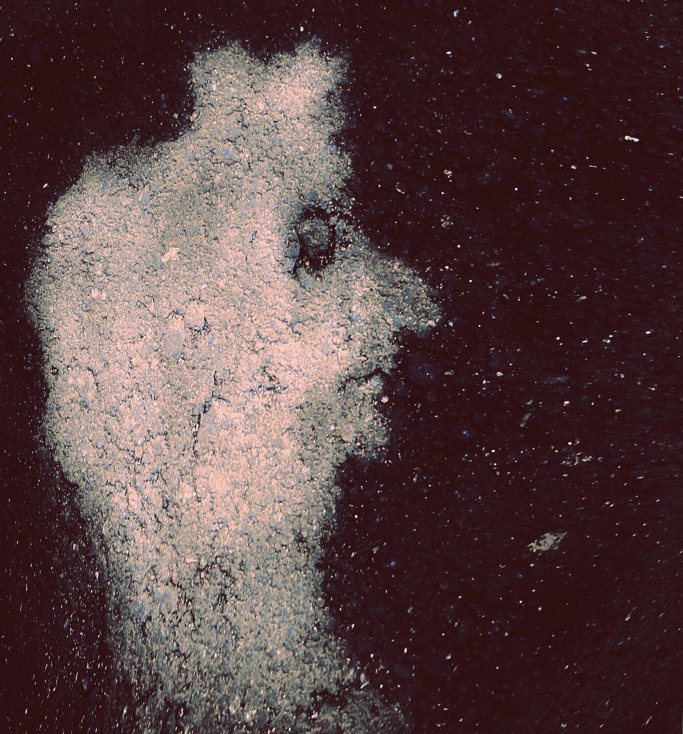 , ПОЛУЕВ ИЛЬЯ