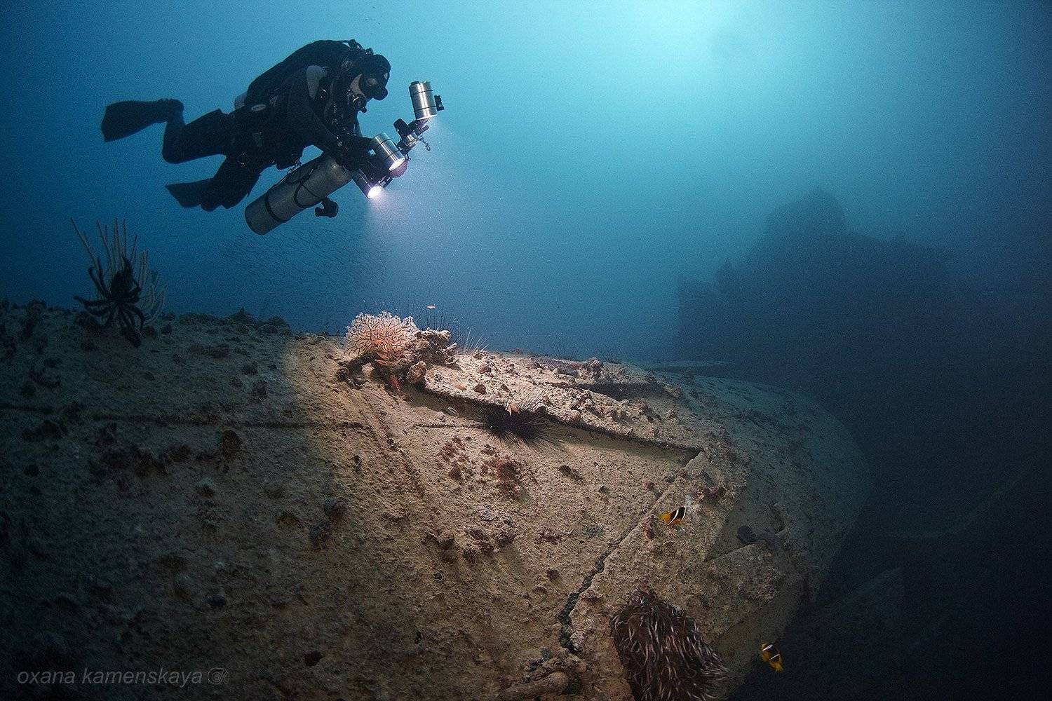 wreck SS Rosalie Moller., Оксана Каменская