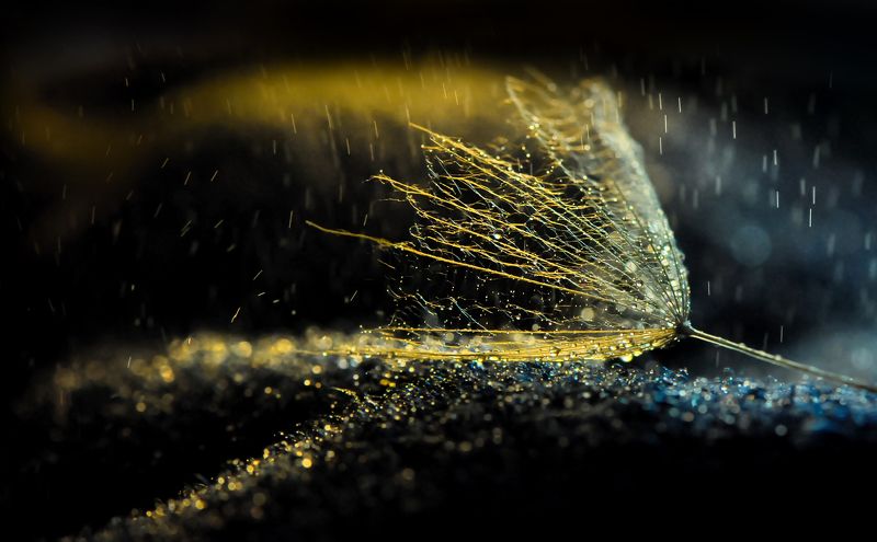 * фото превью