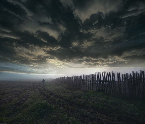 / Подмосковная пустошь / 