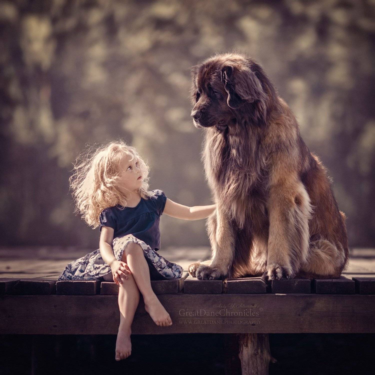 , Андрей Селиверстов