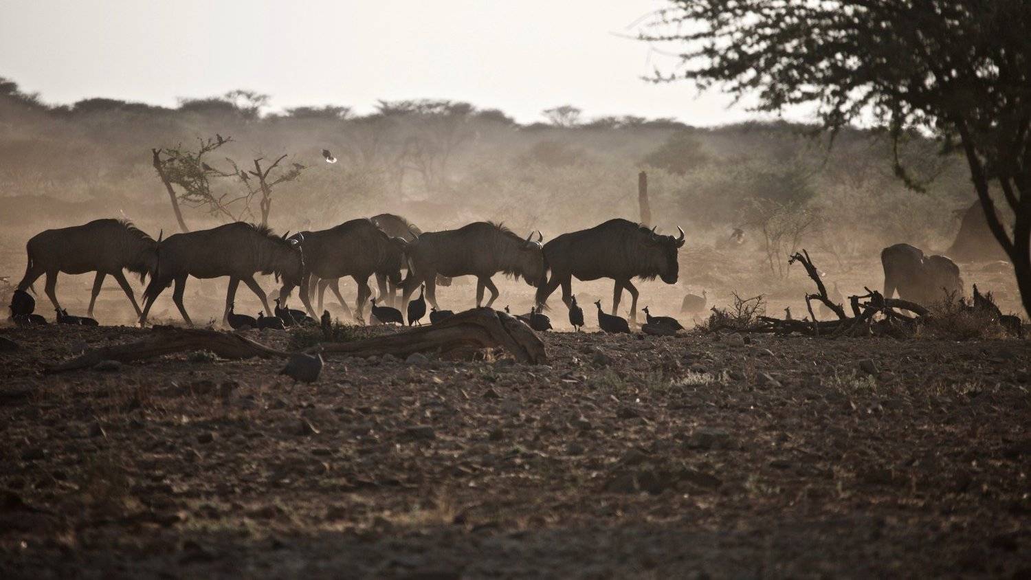 , Мазурин Евгений