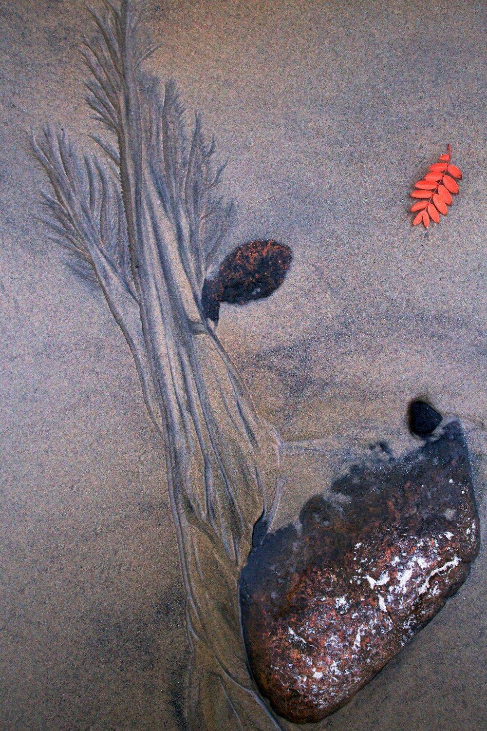 узоры, абстракция, фактура, осень, Никифоров Егор