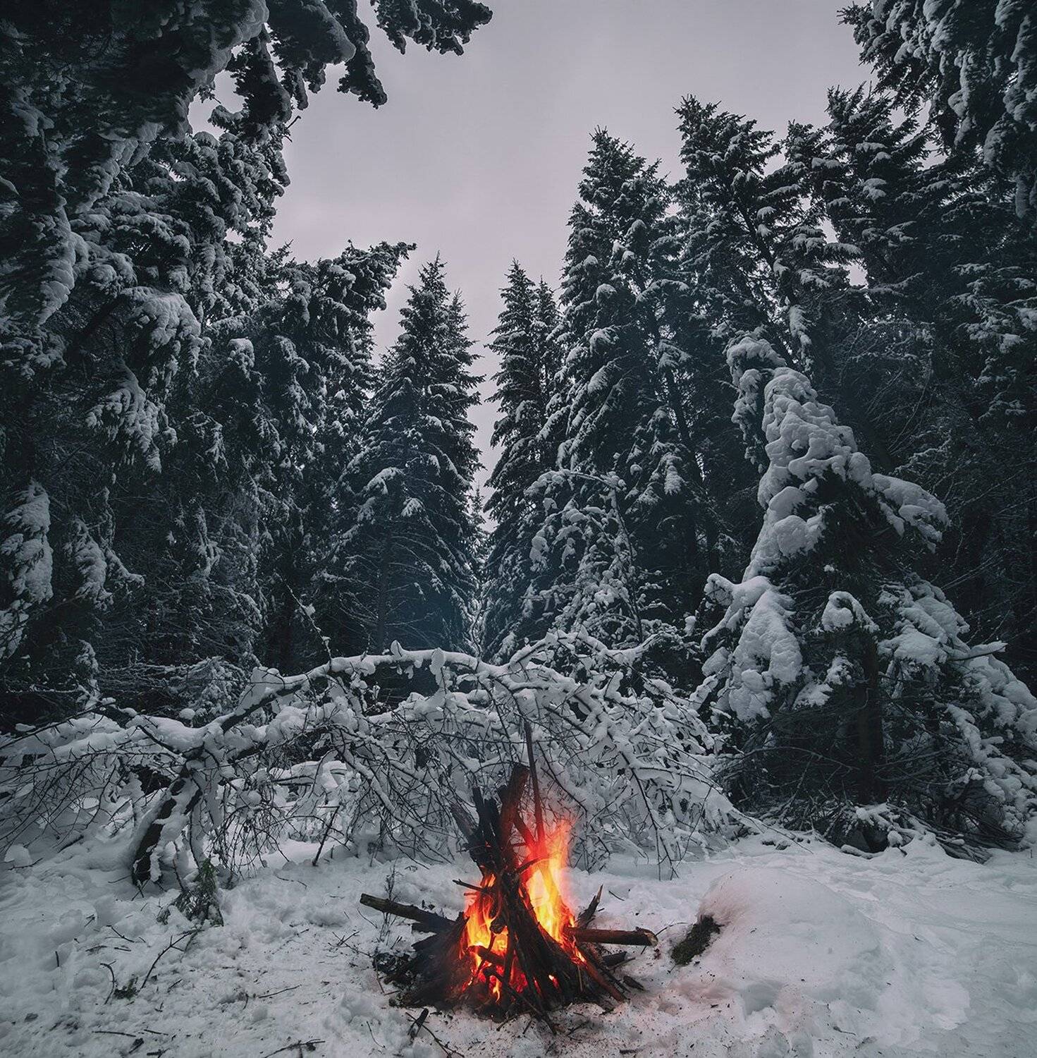 пейзаж, лес, костер, огонь, Артемий Тузов