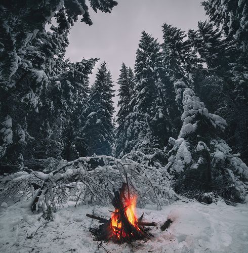 Атмосфера наступившей зимы