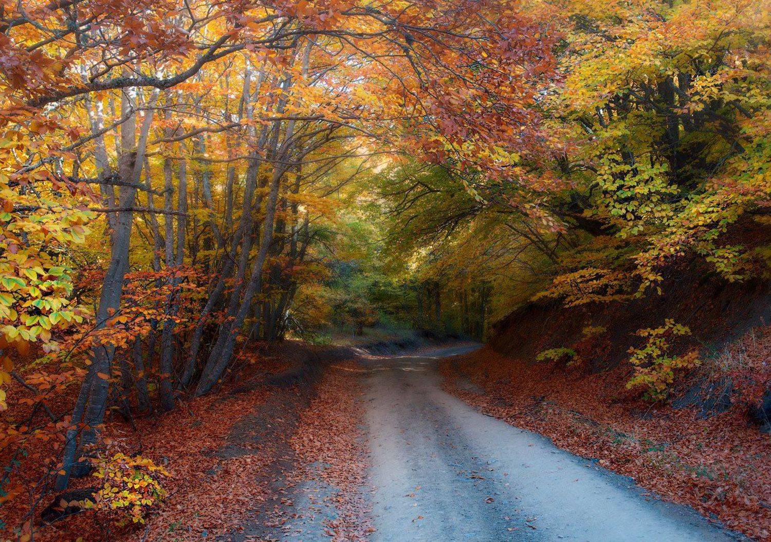 , Сергей Брагин