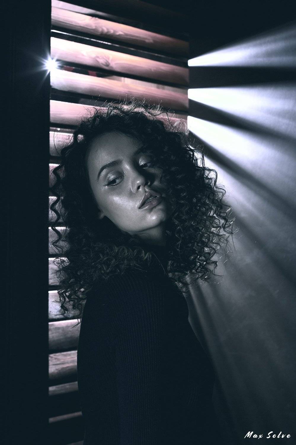 sexy, glamour, fashion, model, models, girl, girls, hot, studio, fineart, art, hair, brunette, woman, female, art, noir, dark, shadows, , Max Solve