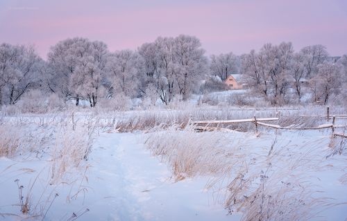 Деревенское утро...