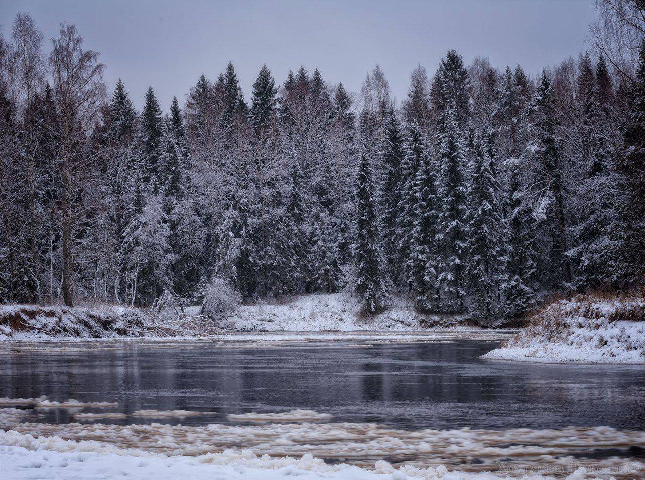 , Хохряков Николай