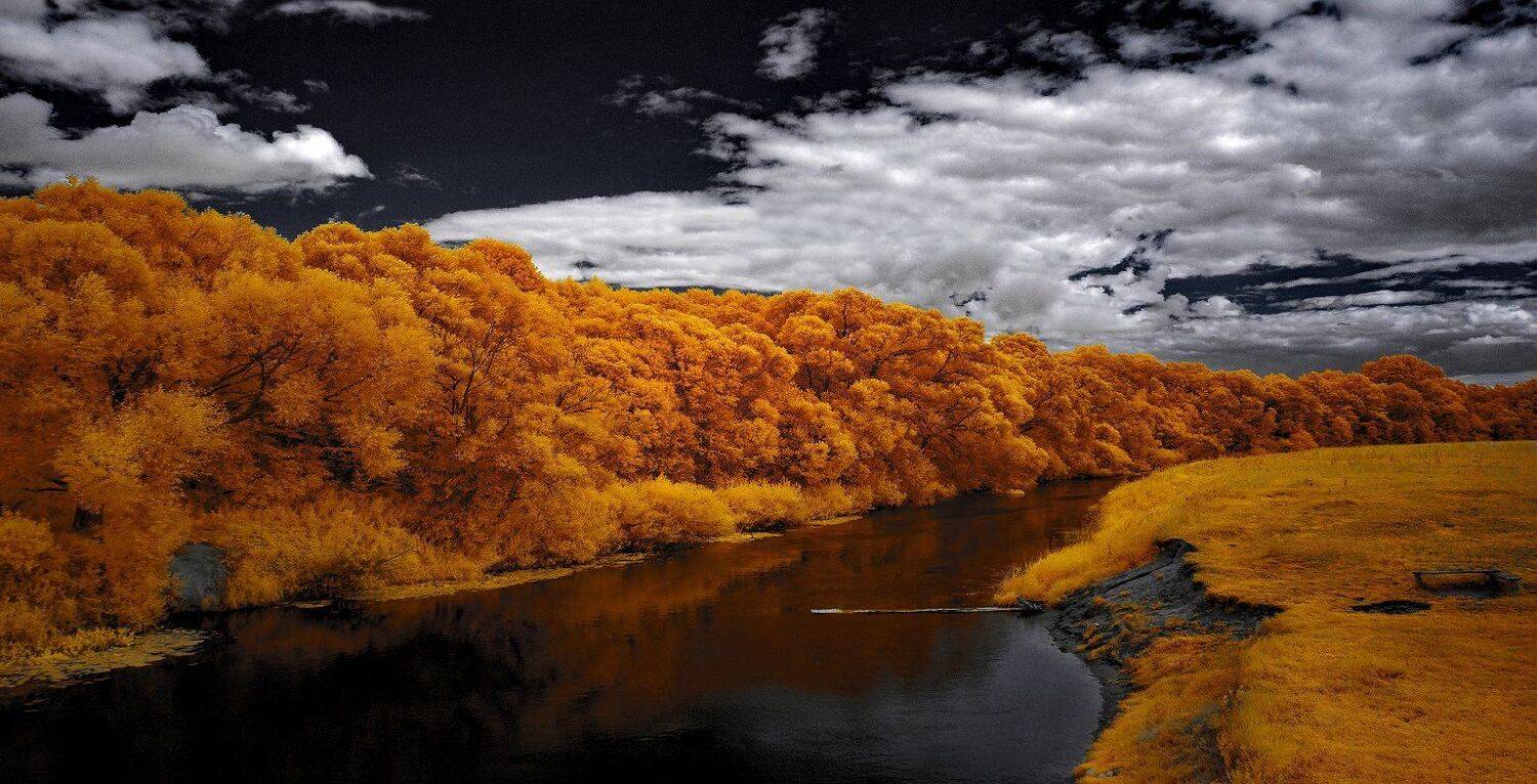 infrared,ик-фото,инфракрасное фото,инфракрасная фотография,пейзаж,природа,беларусь,лето, Sixten ( Сергей )