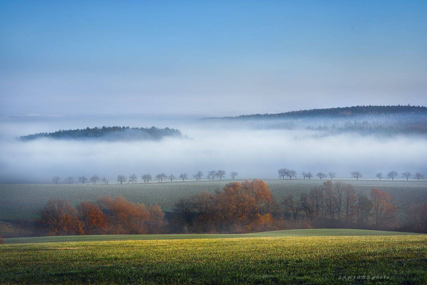 туман в долине,туман ,долина, лес, дымка, осень, утро, природа, поля, деревья, цветы осень, вуаль, zanfoar, чешская республика, nikon d750,чехия, Zanfoar