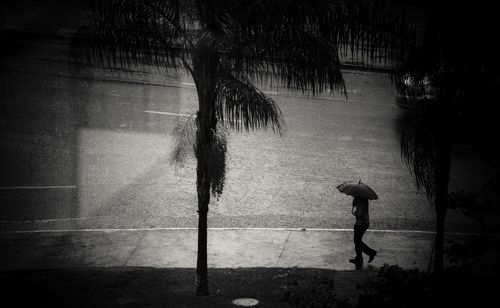 dias de chuva