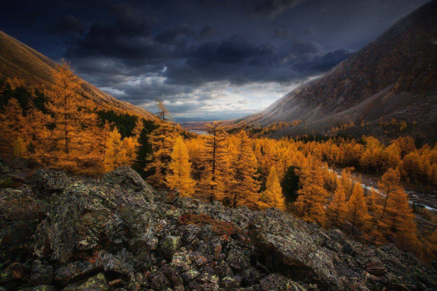 алтай, горы, осень, актру, Владимир Ляпин