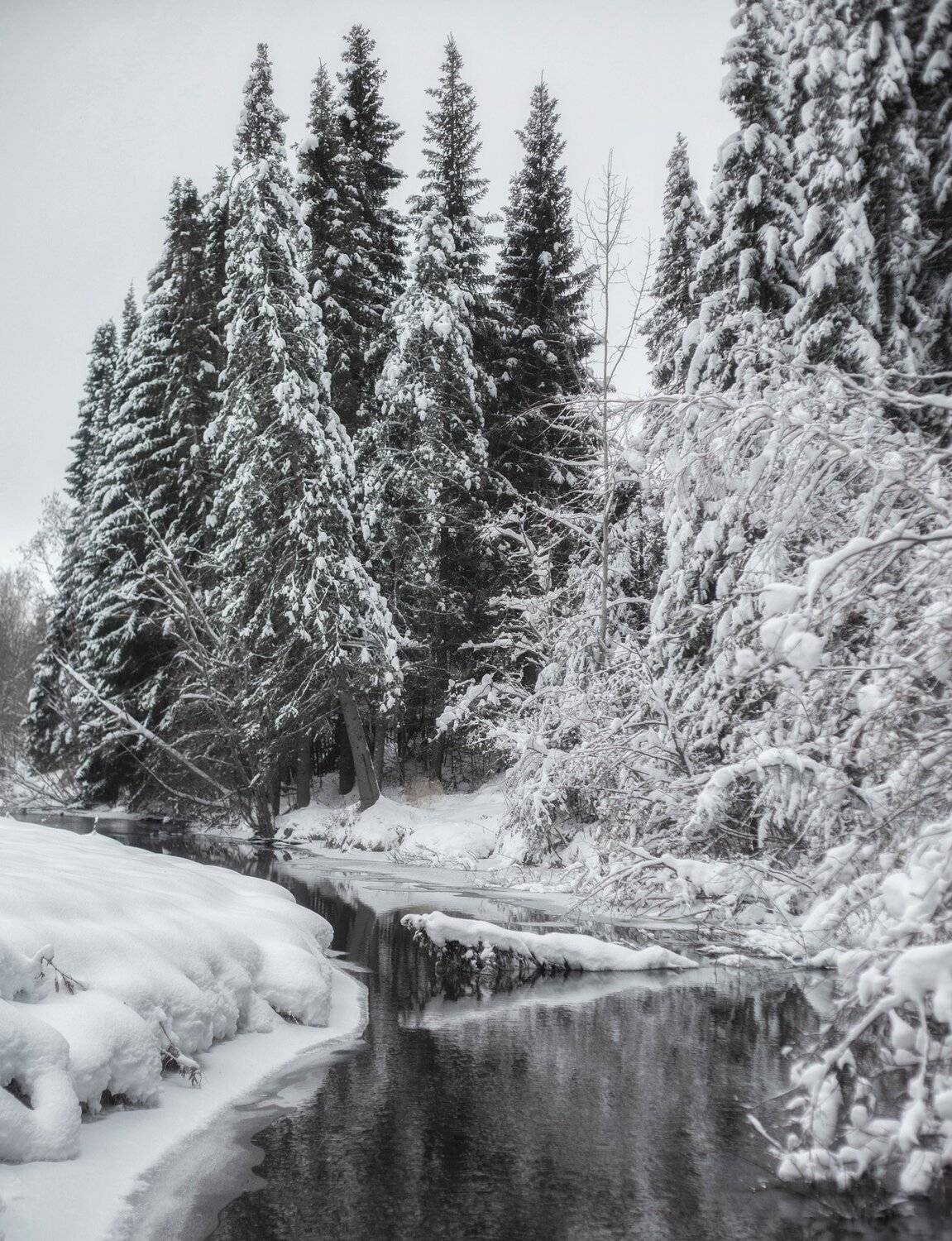 , Федотов Сергей