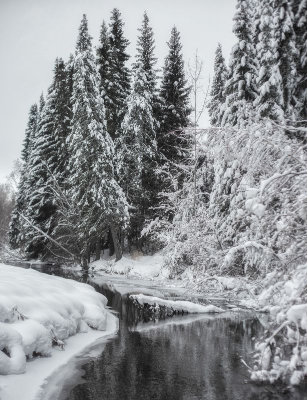 ... фото превью