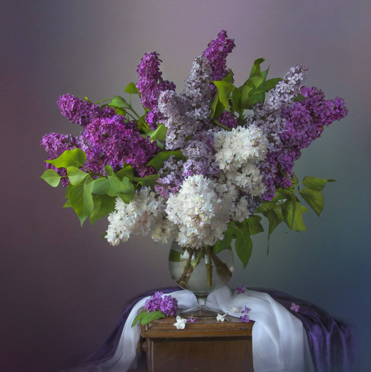 красивый натюрморт с сиренью,цветы,букет,художественное фото,творчество,искусство., Людмила Костюченко