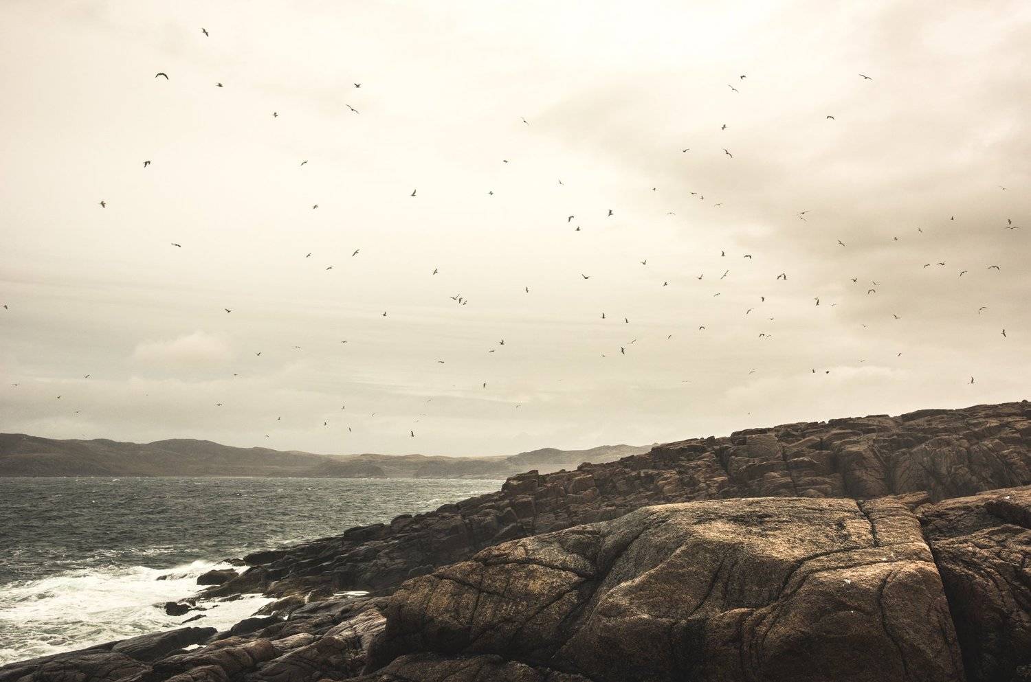 север, тундра, териберка, море, скалы, шторм, холод, Дмитрий Иванов