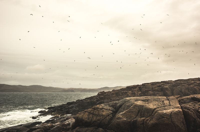 север, тундра, териберка, море, скалы, шторм, холод Зов севера фото превью