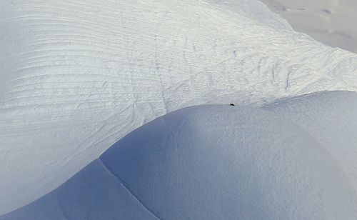 Белое безмолвие