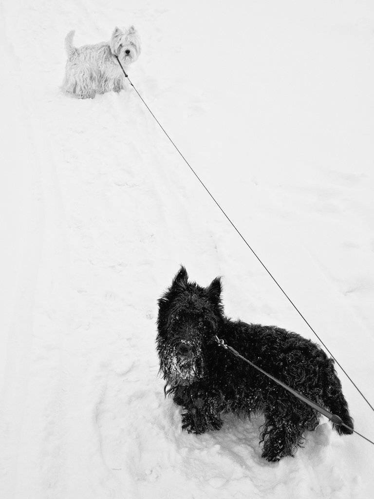 , Штабнов Юрий