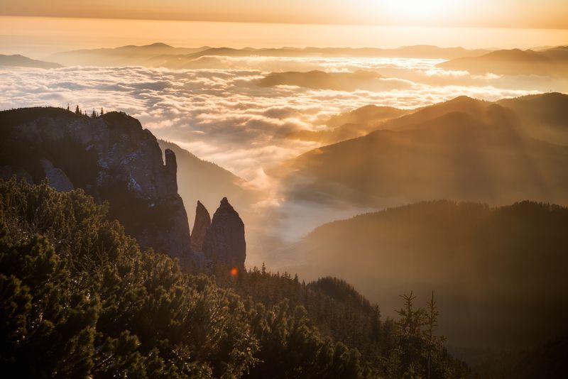 Sunrise фото превью