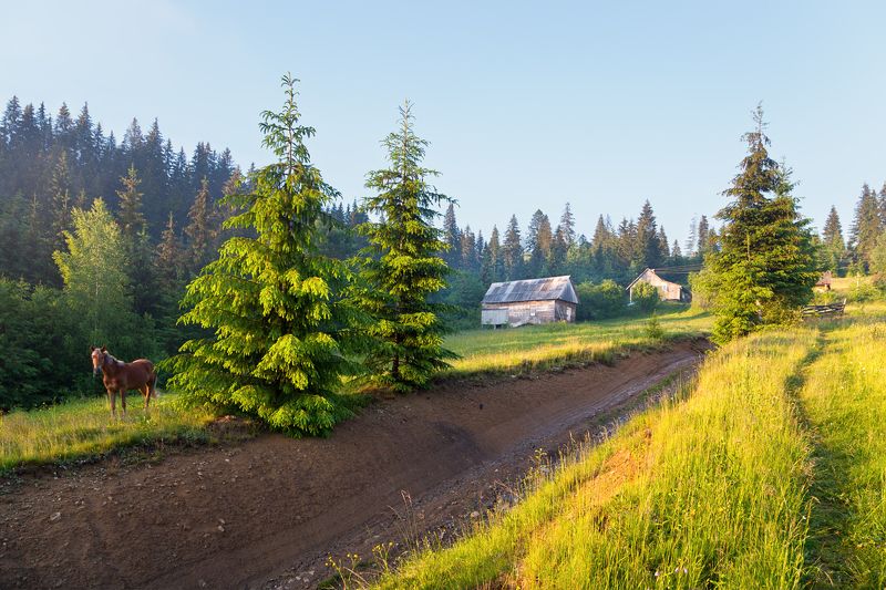 Вечер на хуторе фото превью