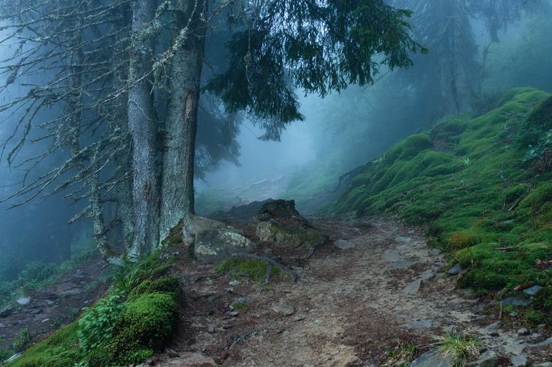 . . . фото превью