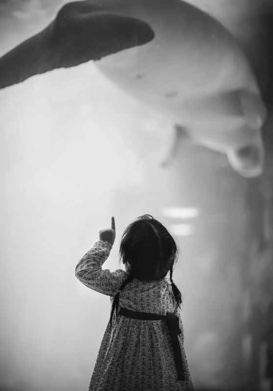 Hello Mr dugong фото превью