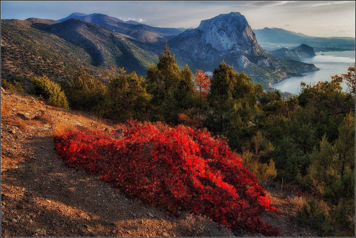 крым, осень, утро, новый свет, АНАТОЛИЙ ДОВЫДЕНКО