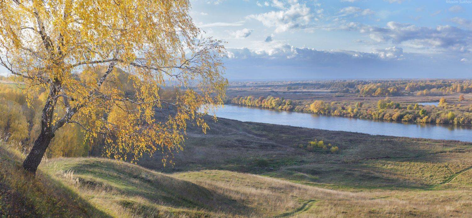 спуск, осень, клязьма, облака, береза, Максим Сухов