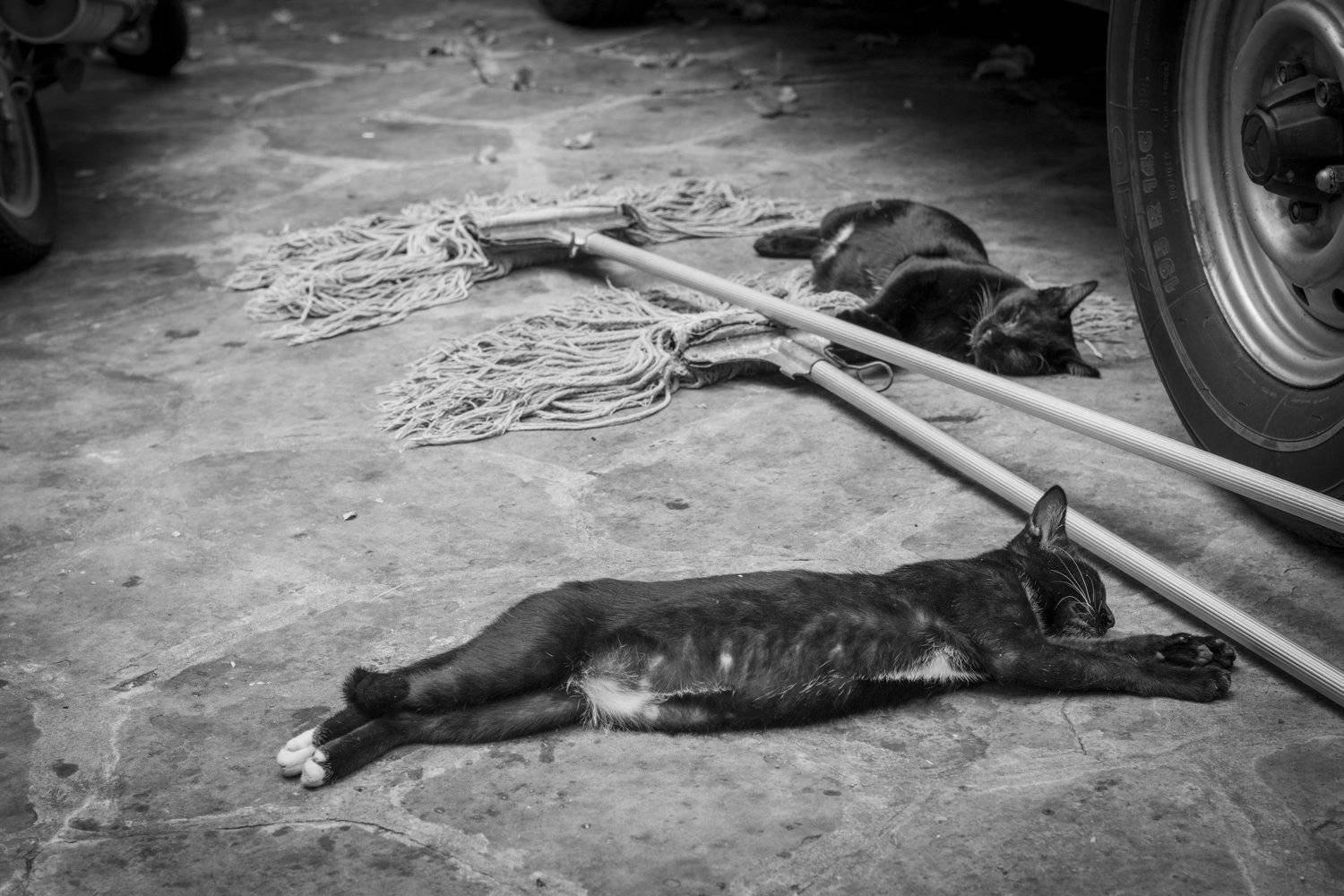 thailand,ประเทศไทย, Александр Макеев