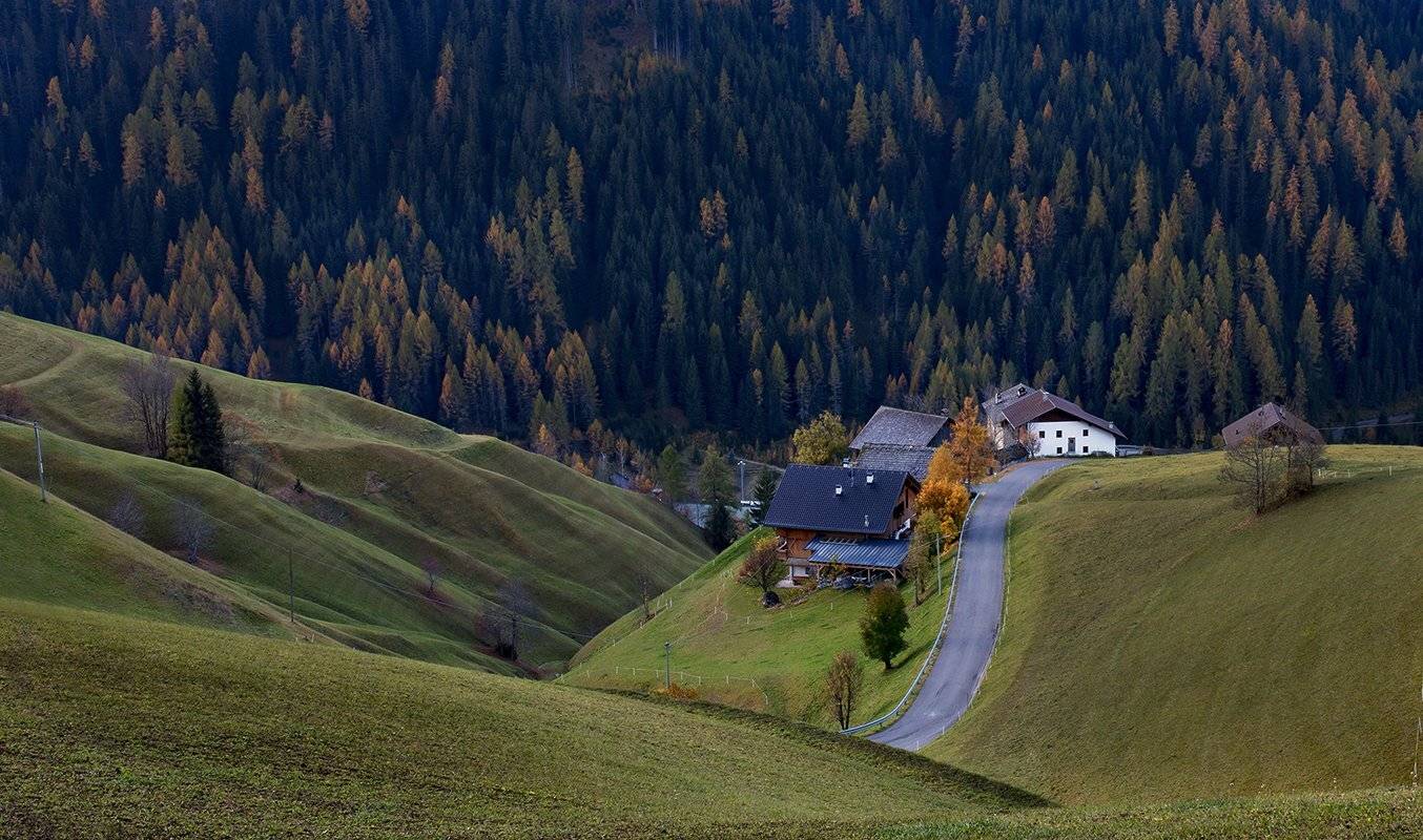 , Игорь Дубровский