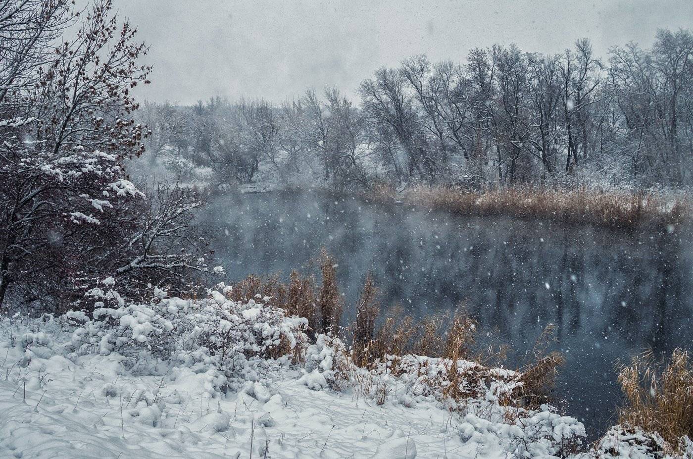 , Игорь Мелекесцев