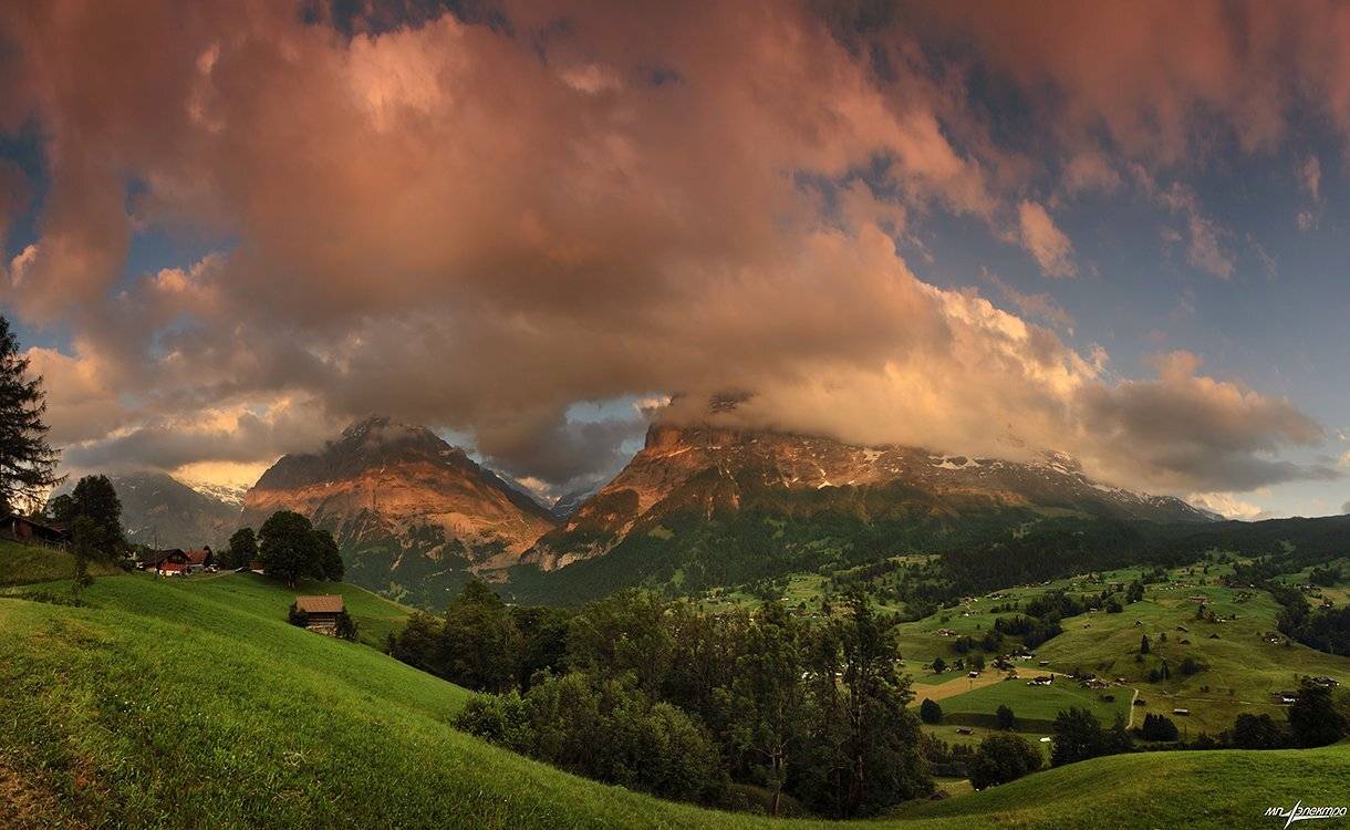 swiss, Матвеев Николай