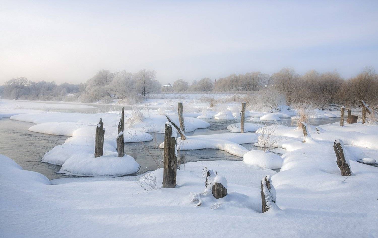 , Анатолий Зверев